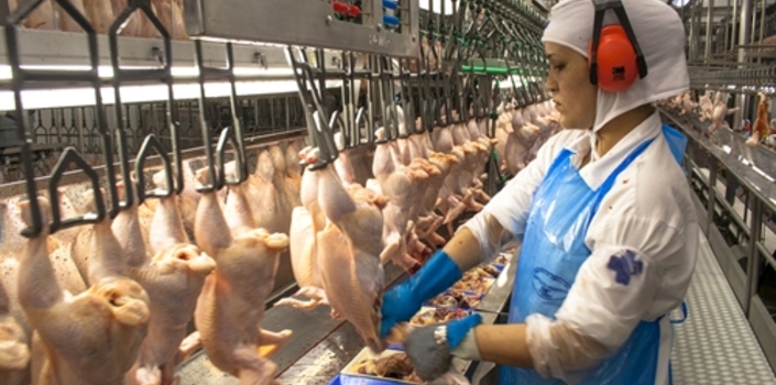 Case Farms Processing cited with 55 OSHA violations