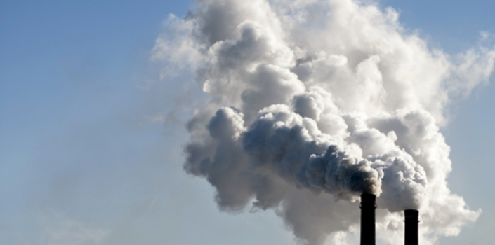 When Industry Supports Environmental Regulation